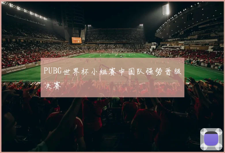 PUBG世界杯小组赛中国队强势晋级决赛