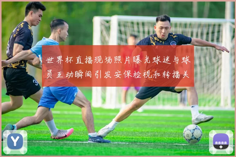 世界杯直播现场照片曝光球迷与球员互动瞬间引发安保检视和转播关注