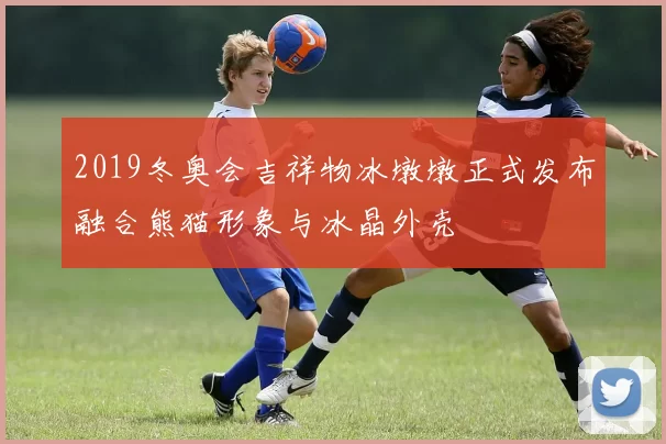 2019冬奥会吉祥物冰墩墩正式发布融合熊猫形象与冰晶外壳