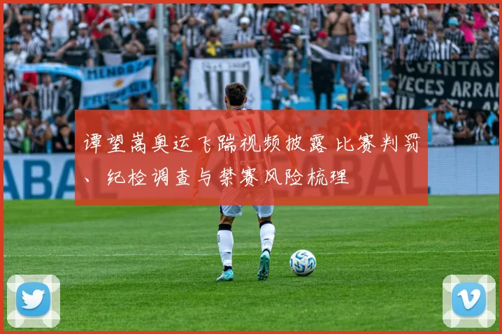 谭望嵩奥运飞踹视频披露 比赛判罚、纪检调查与禁赛风险梳理