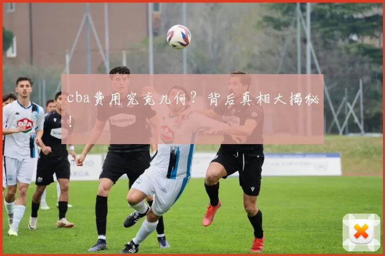 cba费用究竟几何？背后真相大揭秘！