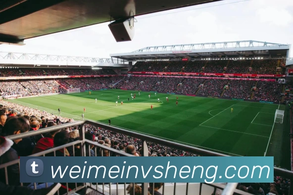 爱游戏app官网在线登录平台生态图