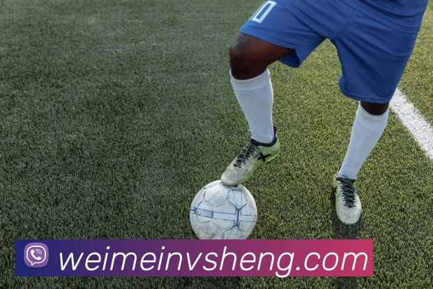 多媒体互动体验